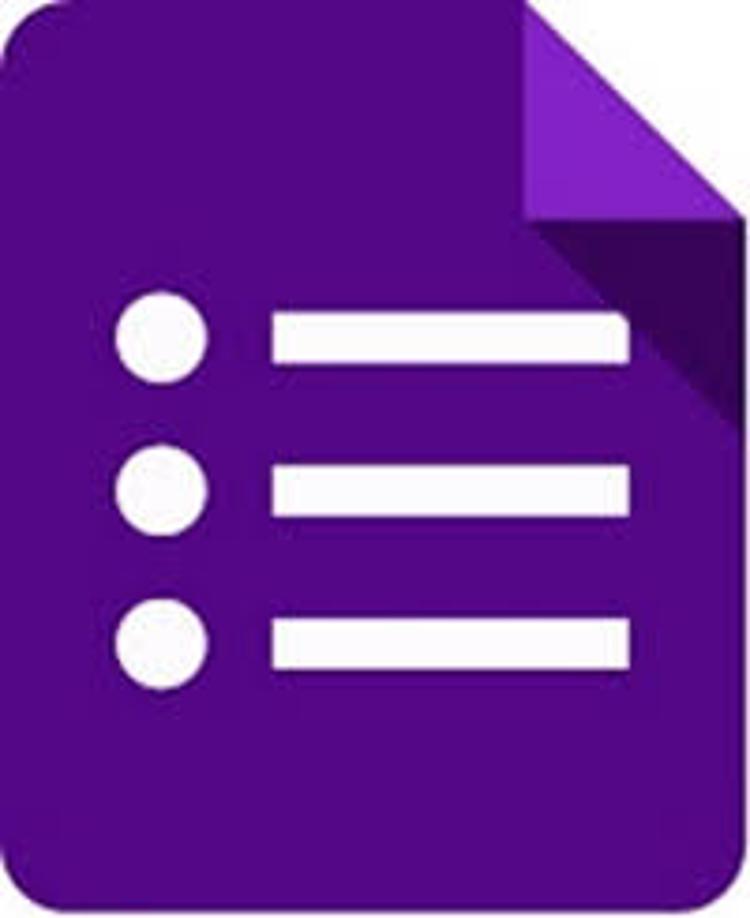 Google Forms Icon 