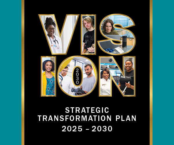 Graphic with images of people inset text "Vision 2030"