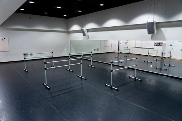 Dance studio 018 with ballet barres only